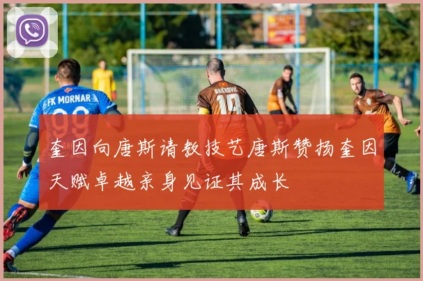 奎因向唐斯请教技艺唐斯赞扬奎因天赋卓越亲身见证其成长
